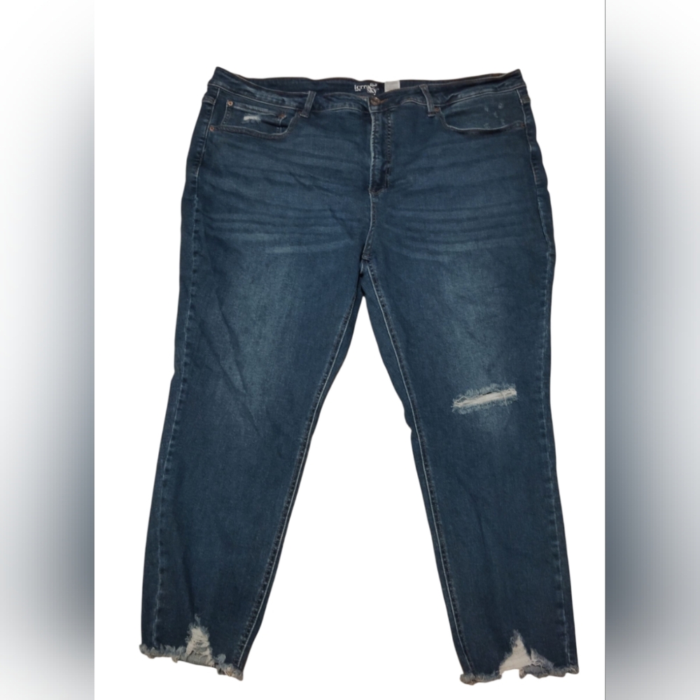 Terra & Sky Women's Blue Ripped Jeans Size 24W plus